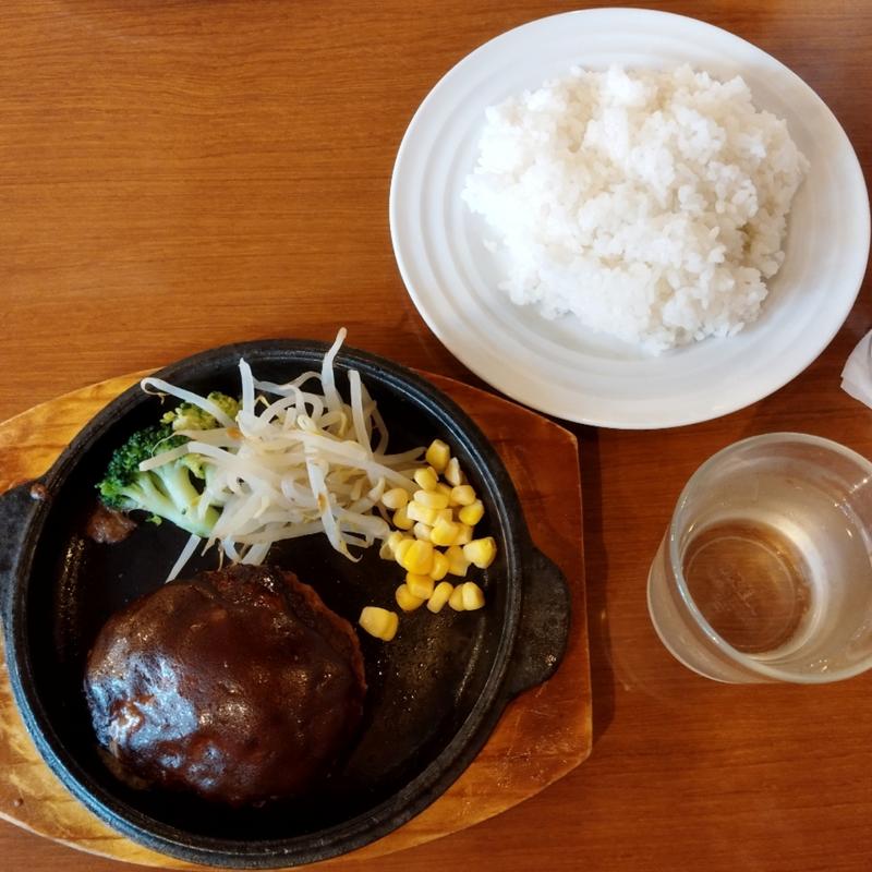 復活!! 牛肉100%のハンバーグ(デミグラス)(ノンナ 葛飾青砥店)