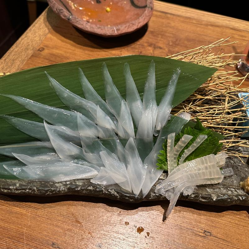 アオリイカ(イカセンター新宿総本店)