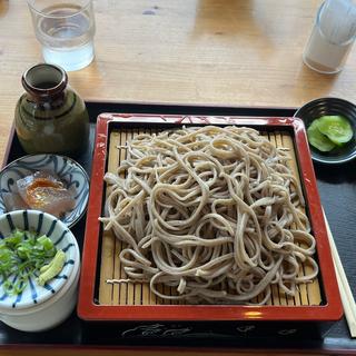 もりそば　大(羽置の里 びりゅう館 （はおきのさと びりゅうかん）)