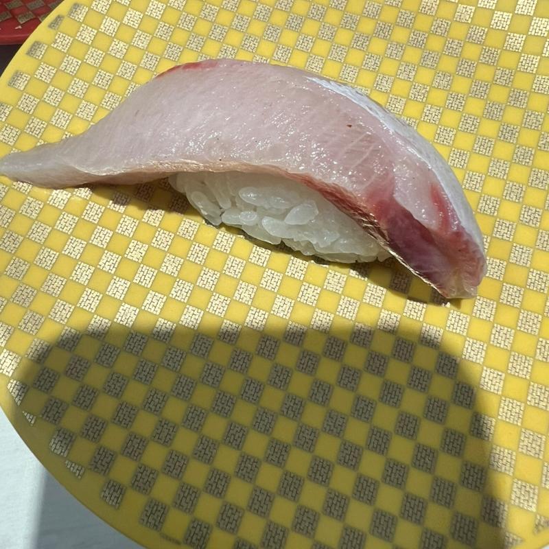 活け〆はまち腹トロ(魚べい 西明石店)