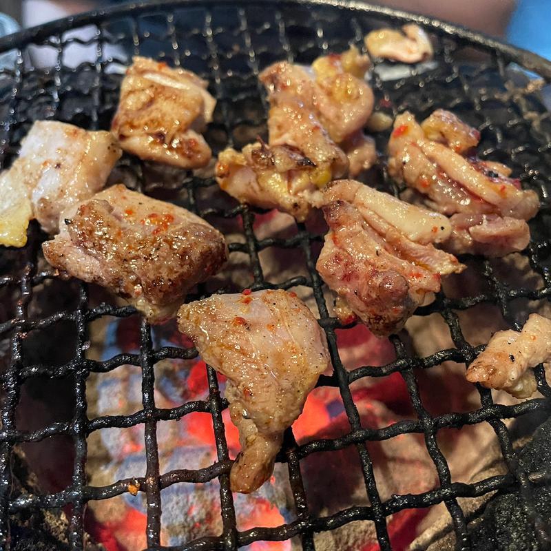 その辺の鶏(久乃 )