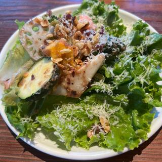 季節根菜のサラダ(KNOCK msb Tamachi店)