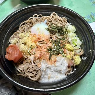 冷やし月見山かけそば(半玉大盛り、梅干)(信州そば処 そじ坊 錦糸町楽天地ビル店)