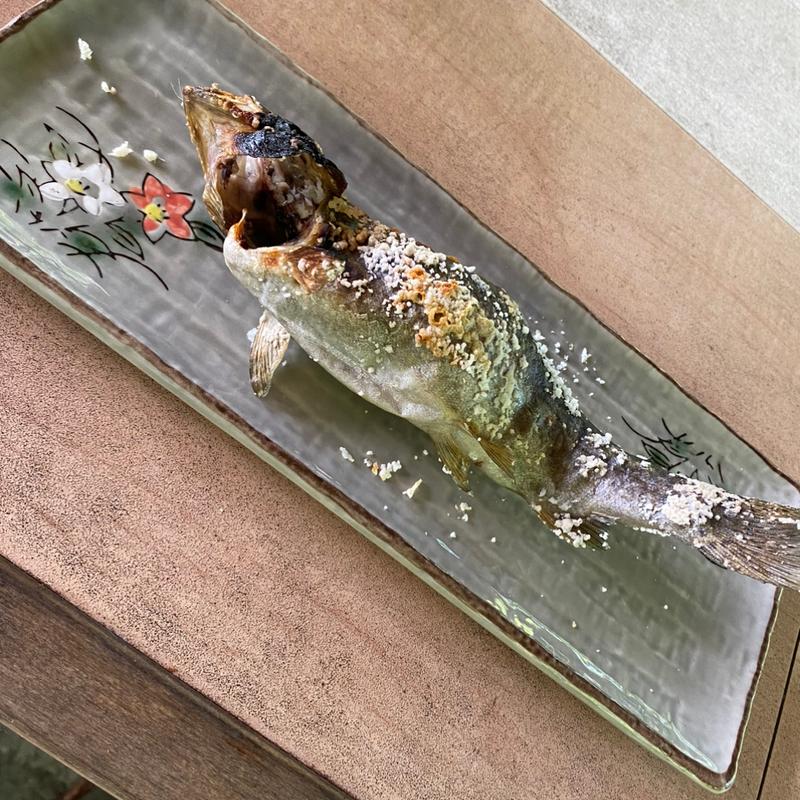 ニジマス(つりぼり芳山荘)