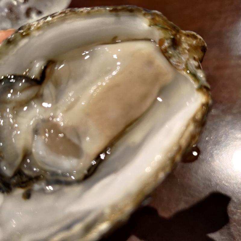 スペシャルツダウ(生牡蠣研究所)