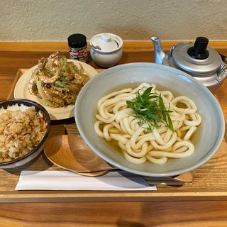 小海老のかき揚げうどん　かしわ飯　小(峰のうどん)