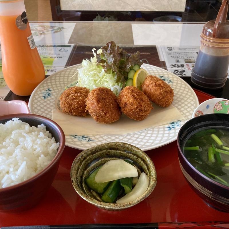 ヒレカツ御膳(なす野 )