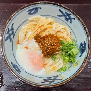 冷やし坦々(宮武讃岐うどん ららぽーと豊洲店)