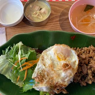 グリーンカレー&ガパオライス(路地裏のタイ料理とお酒 バナナ食堂 立川店)