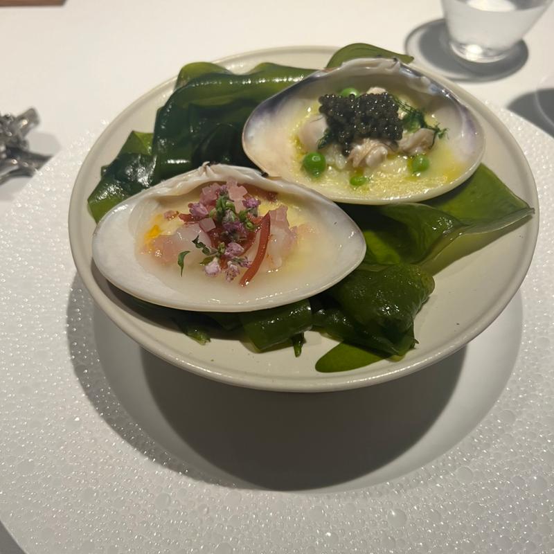 (レフェルヴェソンス)