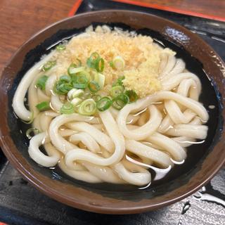 かけうどん(手打十段 うどんバカ一代)