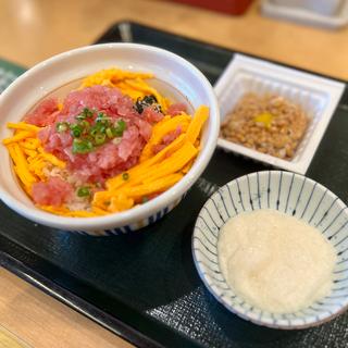 まぐろ山かけ丼