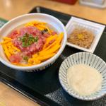 まぐろ山かけ丼(なか卯 すすきの西店 )