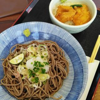 薬味おろしぶっかけそばと鶏天丼セット(そばじ アトレ川崎店)