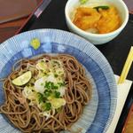 薬味おろしぶっかけそばと鶏天丼セット