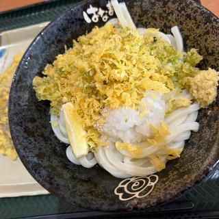 おろしぶっかけうどん(はなまるうどん フォレオ大津一里山店)