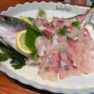 しま鯵活き造り(漁師茶屋桜島)