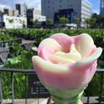 ババヘラアイス