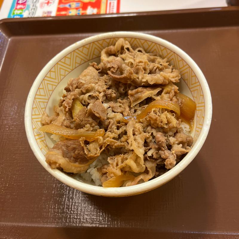 牛丼(すき家 五泉東本町店 )