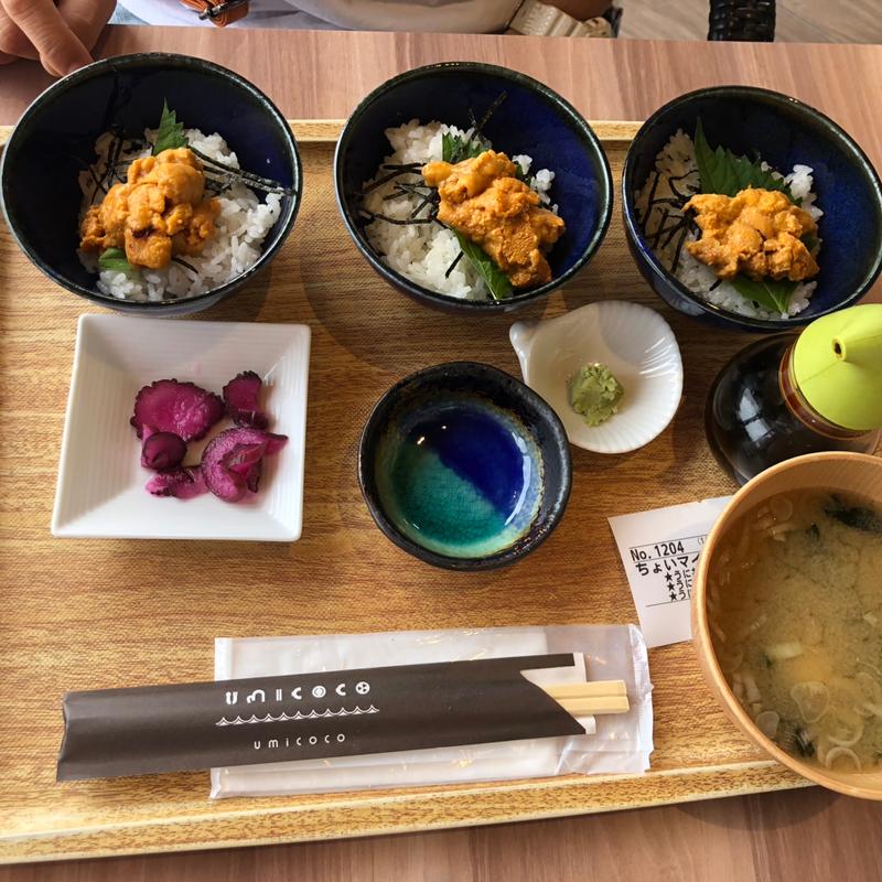 ミニうに丼(道の駅 大谷海岸)