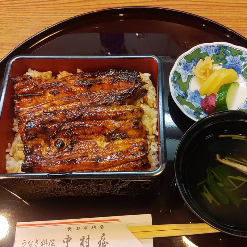 新仔うなぎ上(うなぎ料理 中村屋 （なかむら屋 なかむらや）)