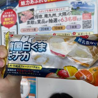 南国白くまモナカ(道の駅 山川港 活お海道 (いおかいどう))