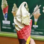 大王わさびプレミアムソフトクリーム(大王わさび農場)