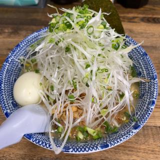 塩らあめん ネギ 半熟玉子(らあめん 葫(にんにく))
