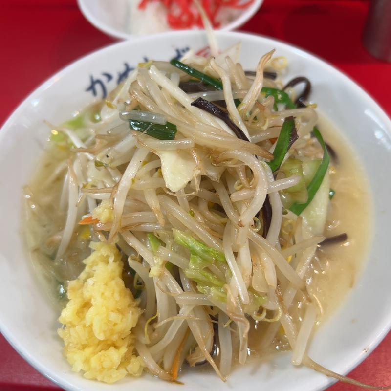 濃厚タンメン(濃厚タンメン かめしげ)