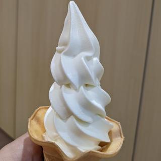 ジャージー乳ソフト