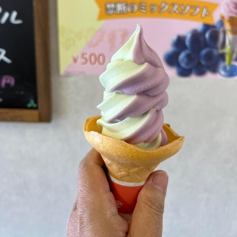 禁断のミックスソフト(道の駅小坂田公園)