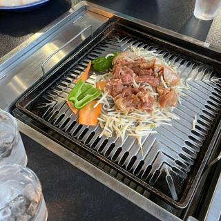 ジンギスカン(グレーシィトマム)