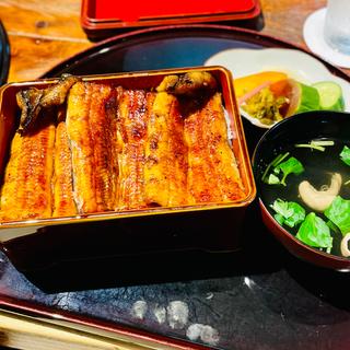 うな重　特上(林屋)