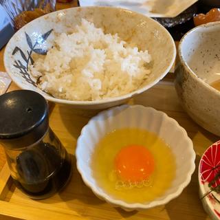 幸せ卵のたまごかけごはん（ランチセット）(蕎麦処こだか)