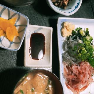 生しらす生さくらえび定食(お食事処源氏)