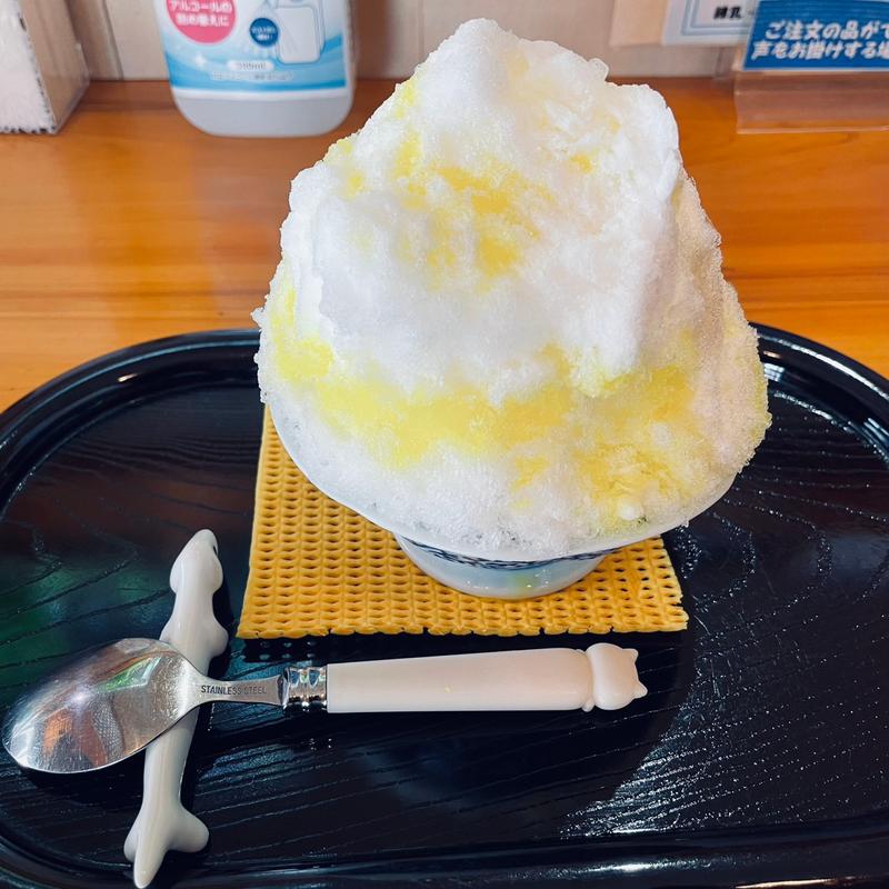 日向夏かき氷(かき氷🍧メダカ屋🐟ごえんさん)