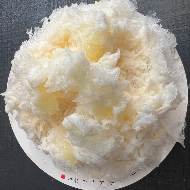 白のグレープフルーツ(天然氷・かき氷・多りきほんがん堂)