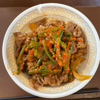 ニンニクの芽牛丼(すき家 10号姶良宮島店 )