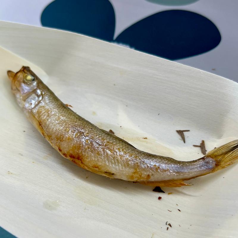 Lメス1串10尾(カネダイ大野商店)