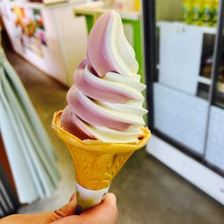 ブルーベリー&牛乳ソフト(しゃりん （道の駅　あつみ）)