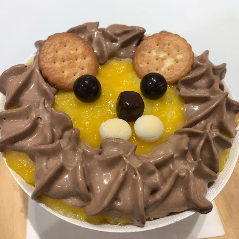 ライオンボウル(SAKURA ❇︎ SAKURA)