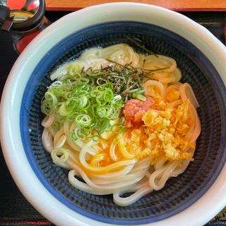 明太釜玉バターうどん(やまふじ )