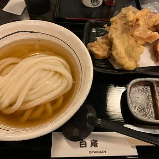 天ぷら3種セット(讃岐うどん 白庵 （BYAKUAN びゃくあん）)