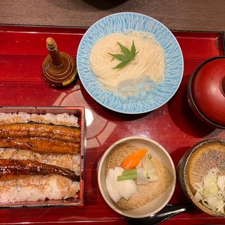 うなぎ重と生そうめんセット(坂東太郎 研究学園総本店 )