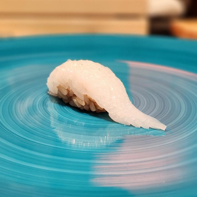 アオリイカ 握り 塩(鮨urag)