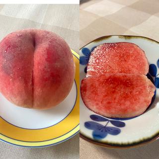 (アピタパワー新守山店)