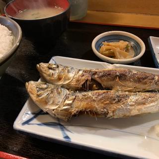 いわし塩焼き定食(魚玉 （うおたま）)