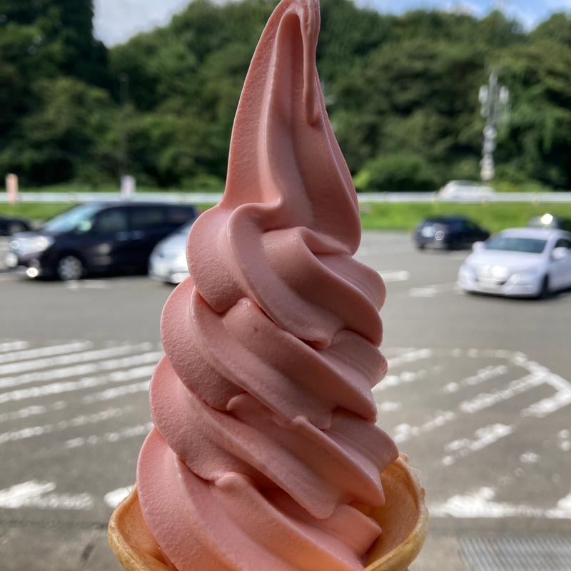 とまとソフトクリーム(季節限定)(道の駅　雫石あねっこ　こびるコーナー )