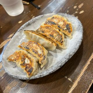 鶏肉餃子(鶏々 （TORIDORI）)