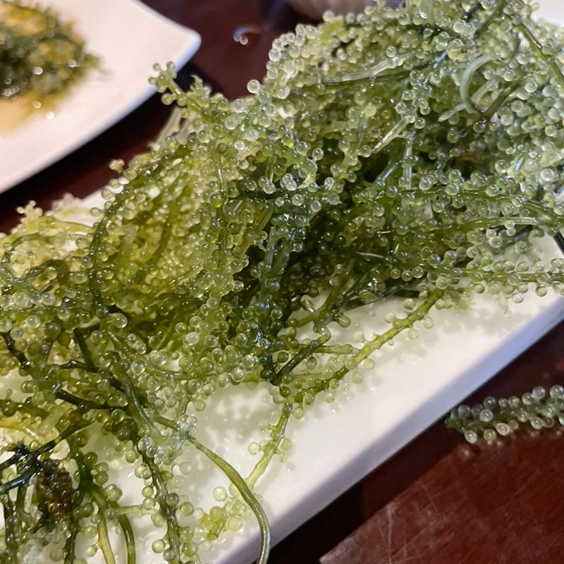 海ぶどう(おBAR （オバー）)